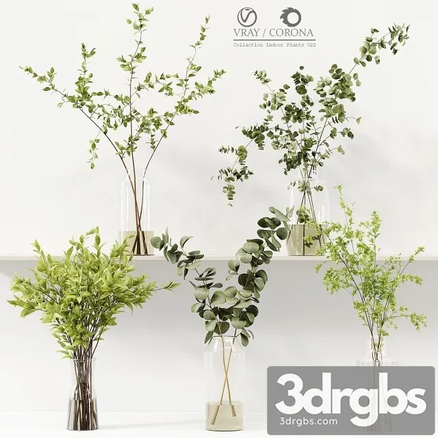 Collection Indoor Plants 022 3dsmax Download