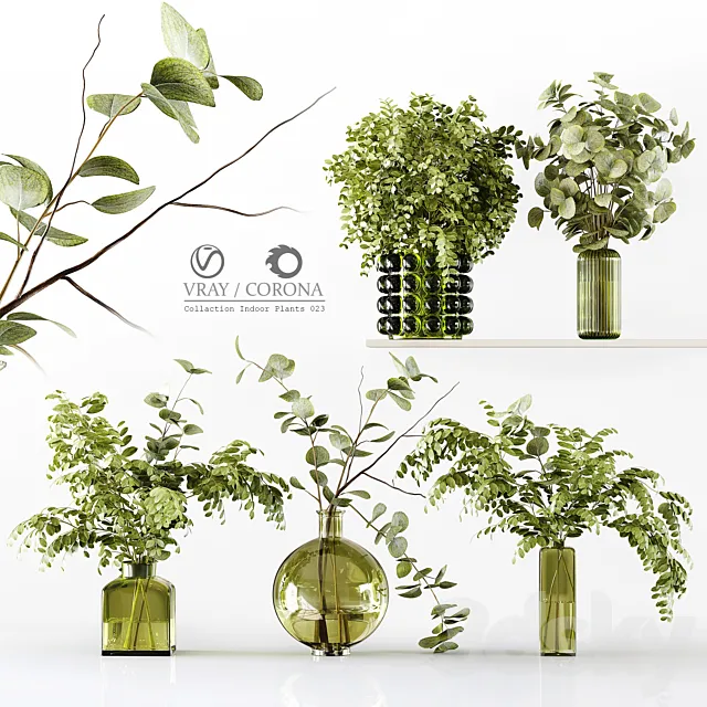 Collection Indoor Plants 023 3DSMax File