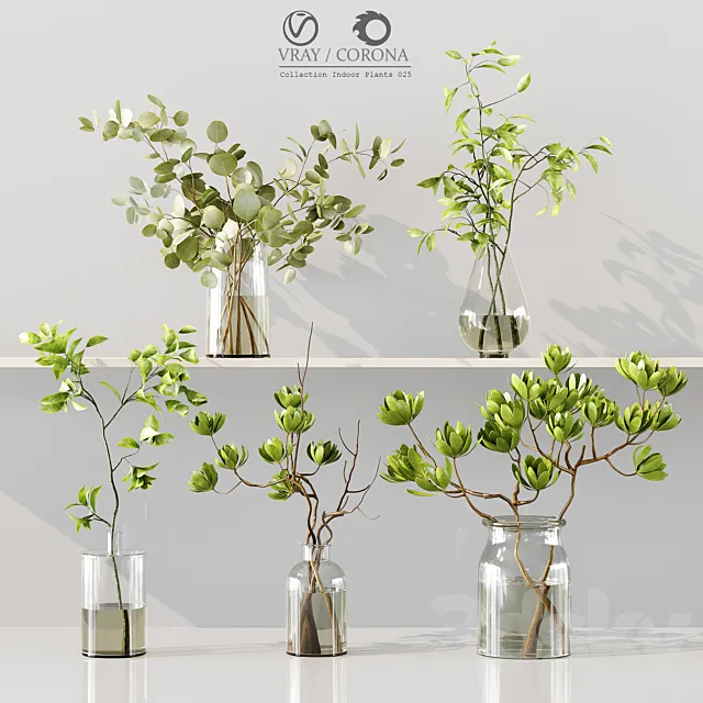 Collection Indoor Plants 025 3dsMax Model