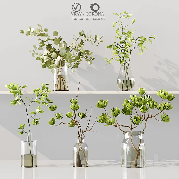 Collection Indoor Plants 025 3DS Max Model