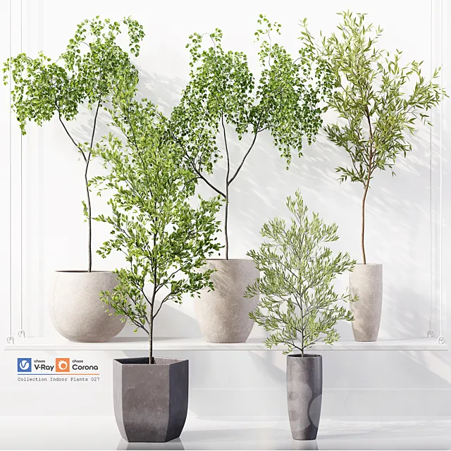 Collection Indoor Plants 027 3ds Max