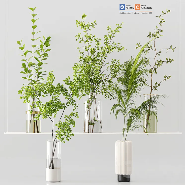 Collection Indoor Plants 028 3DS Max Model