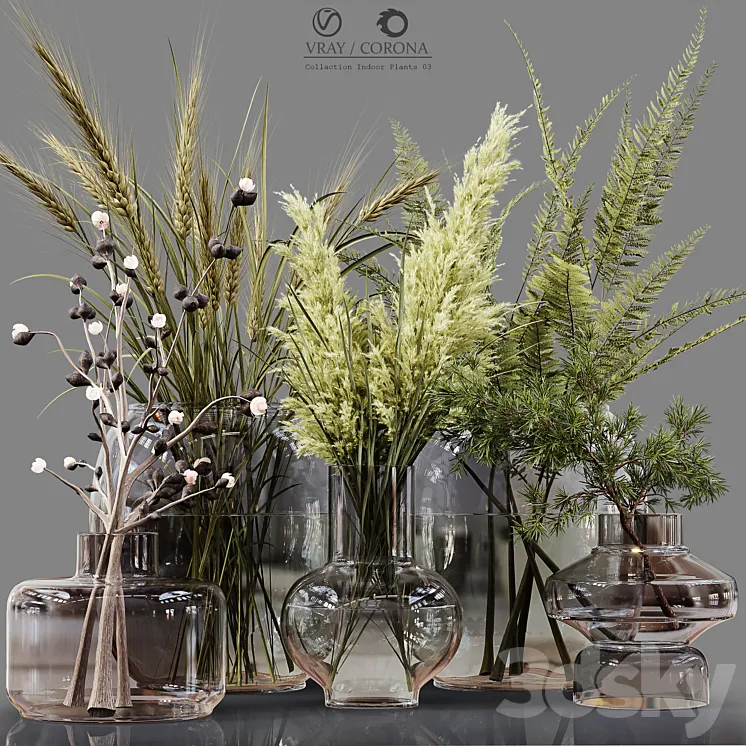 Collection Indoor Plants 03 3DS Max Model