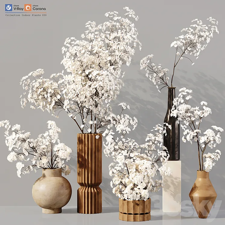 Collection Indoor Plants 030 3DS Max