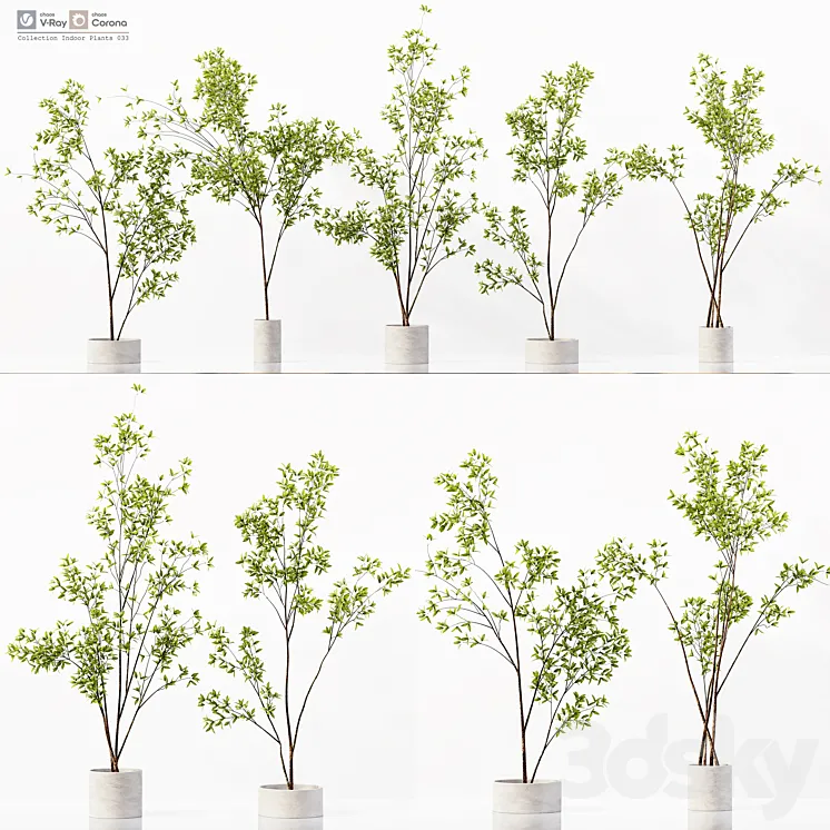Collection Indoor Plants 033 3DS Max Model