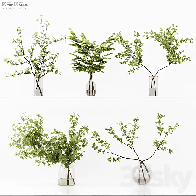 Collection Indoor Plants 037 3ds Max