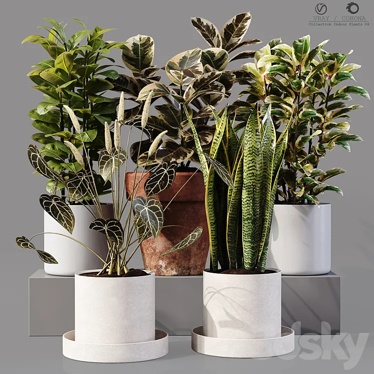 Collection Indoor Plants 04 3DS Max Model