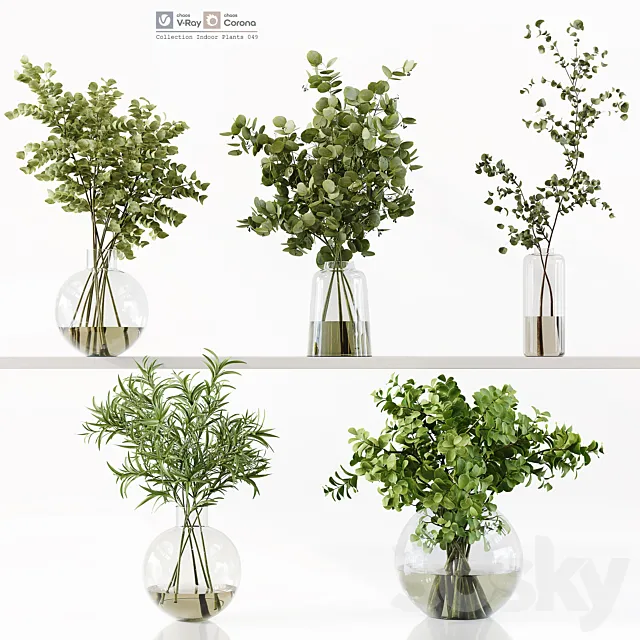 Collection Indoor Plants 049 3ds Max