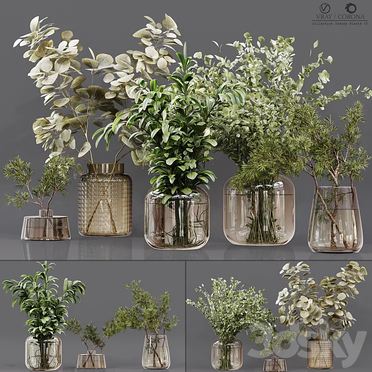 Collection Indoor Plants 05 3DS Max Model