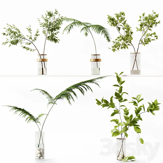 Collection Indoor Plants 058 3ds Max