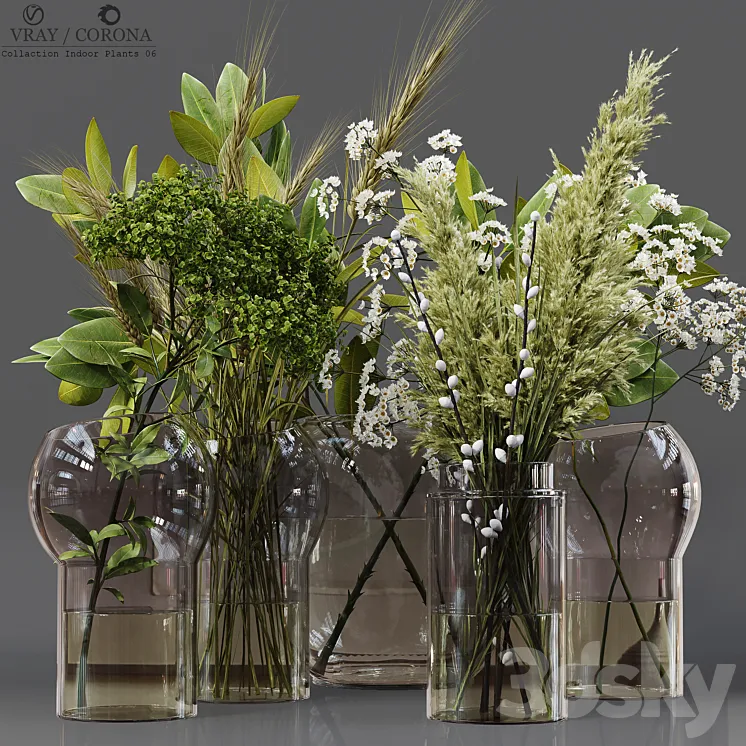 Collection Indoor Plants 06 3DS Max