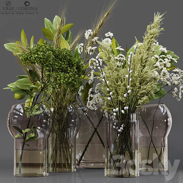 Collection Indoor Plants 06 3DSMax File