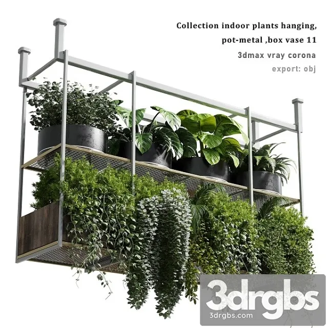 Collection Indoor Plants Hanging Pot 3dsmax Download