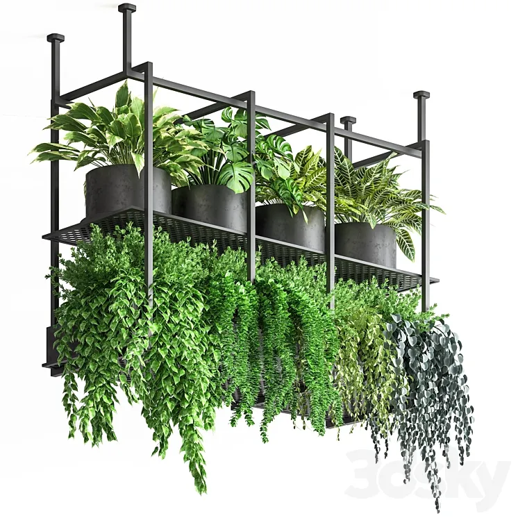 collection Indoor plants hanging pot metal 01 3DS Max