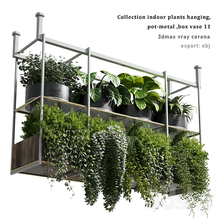 collection Indoor plants hanging pot-metal bax vase 11 3DS Max