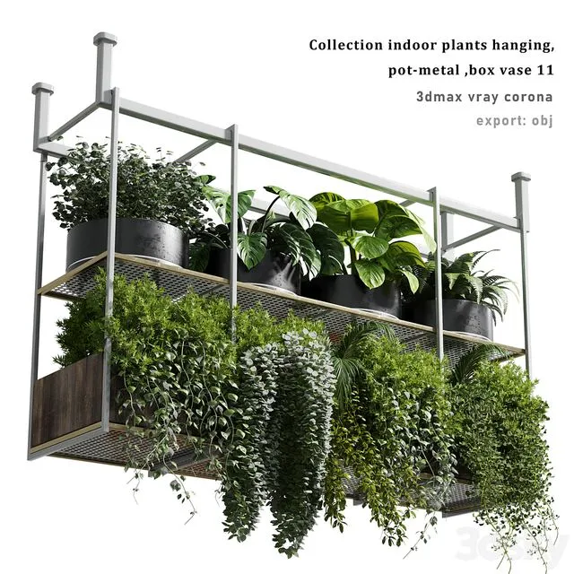Collection Indoor plants hanging pot-metal bax vase 11 3dsMax Model