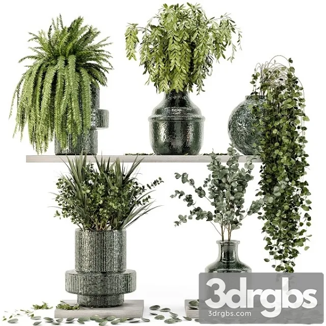 Collection Indoor Plants in Glass Pots 3dsmax Download