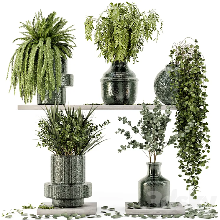 Collection Indoor Plants in Glass Pots – Set 695 3DS Max Model