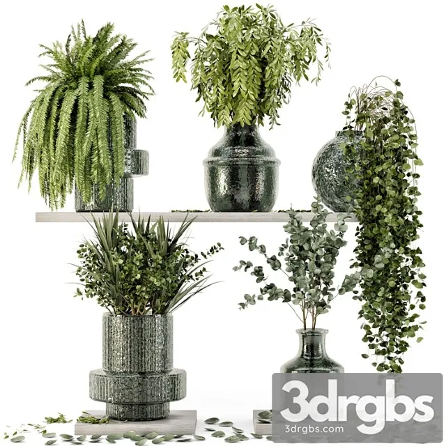 Collection indoor plants in glass pots – set 695