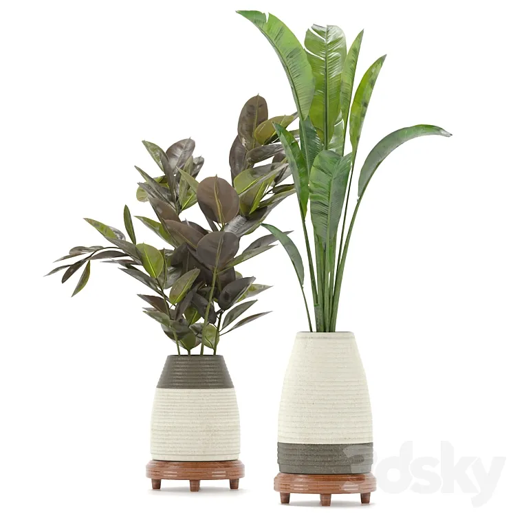 Collection Indoor Plants Set Nim01 3DS Max Model