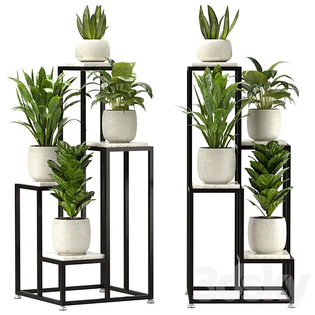 Collection Indoor Plants Set Nim08 3DS Max Model