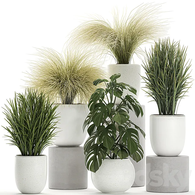 Collection of beautiful small plants in white pots with monstera bushes hummock grass grass. Set 682. 3ds Max