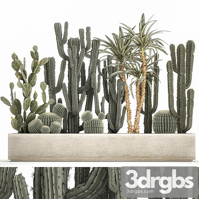 Collection of desert plants in a vase of cacti, prickly pear, dracaena, carnegie, echinocactus, garden. set 1096.