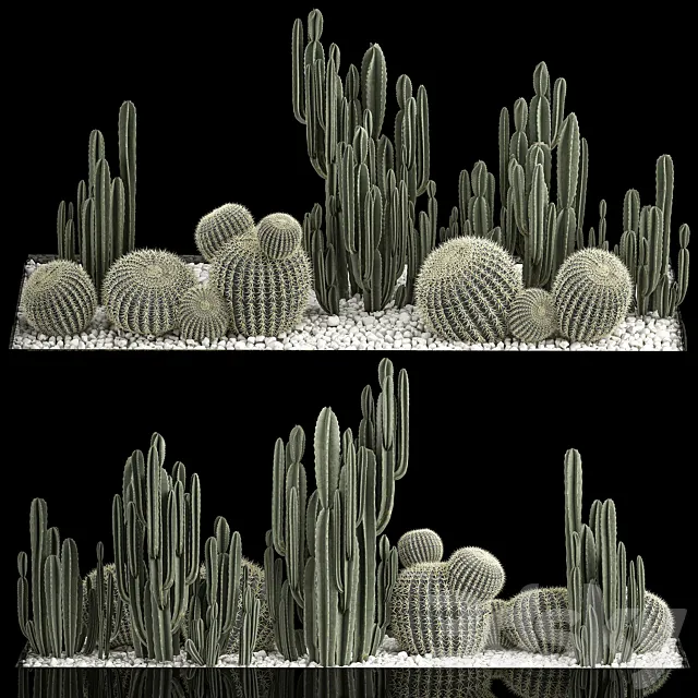 Collection of desert plants with cactus garden Cereus barrel cactus. 1115. 3ds Max