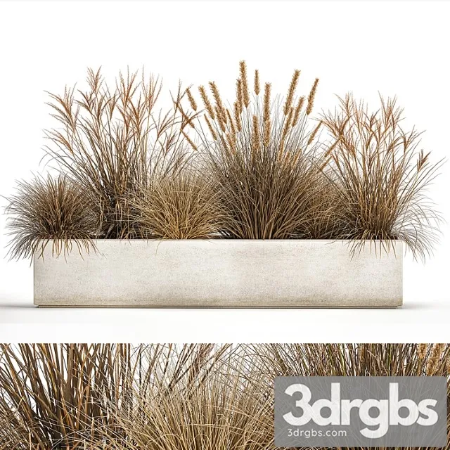 Collection of dried flower plants in a pot of pampas grass, reeds, flowerbed, landscaping, bushes. 1072.
