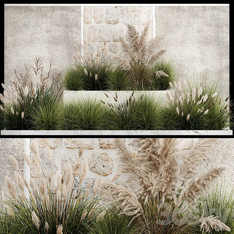 Collection of flowerbed plants and bushes with grass for landscaping pampas grass cortaderia and white reeds. 1126. 3DS Max