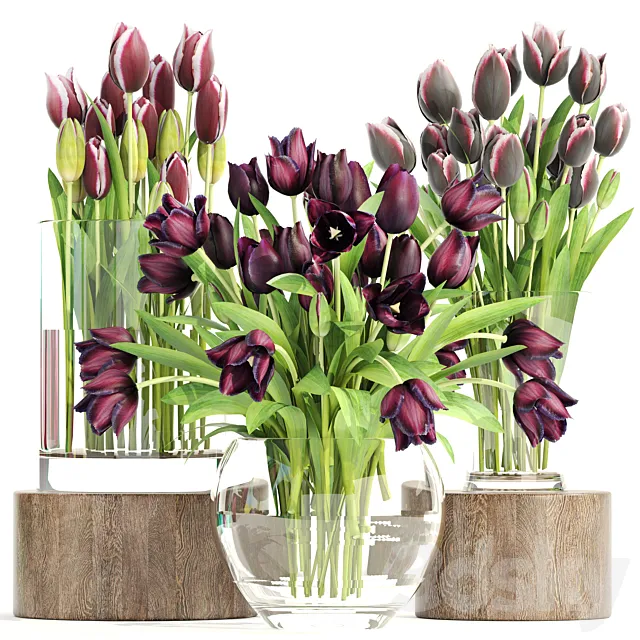 Collection of flowers 1. Tulips flower vase spring flowers decor 3ds Max