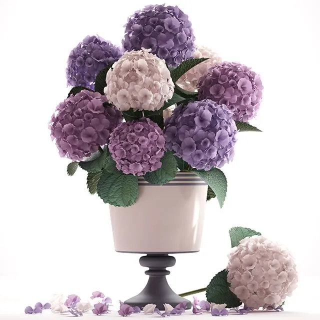Collection of flowers 55. Hydrangea blue flowers 3dsMax Model