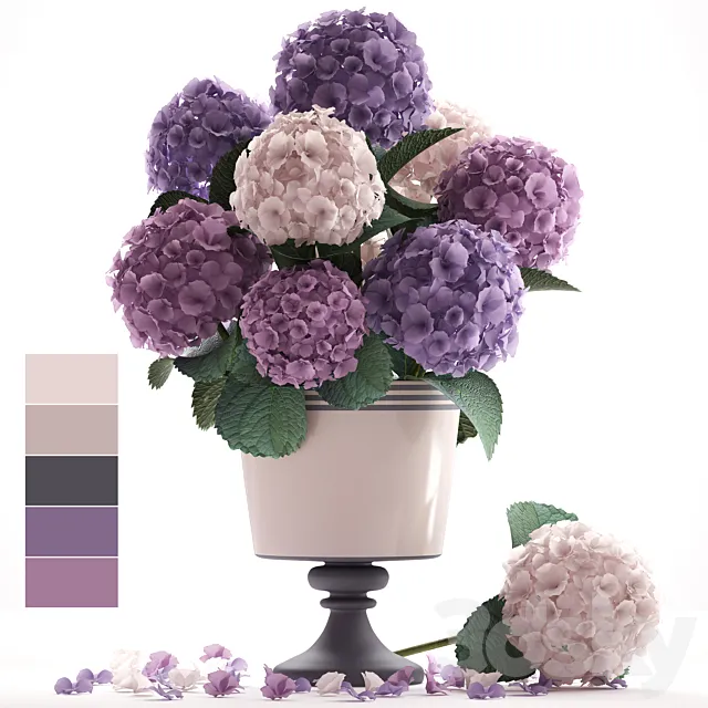 Collection of flowers 55. Hydrangea. blue flowers. flower. vase. branch 3DSMax File