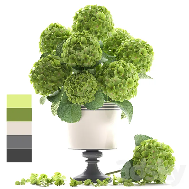 Collection of flowers 60. Hydrangea. bouquet. green flowers. vase. decor 3DSMax File