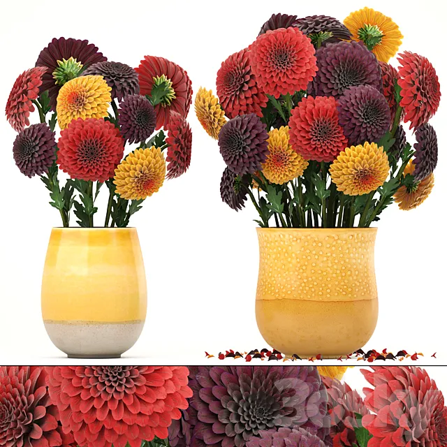 Collection of flowers 8. Dahlias vase decor spring flowers 3ds Max