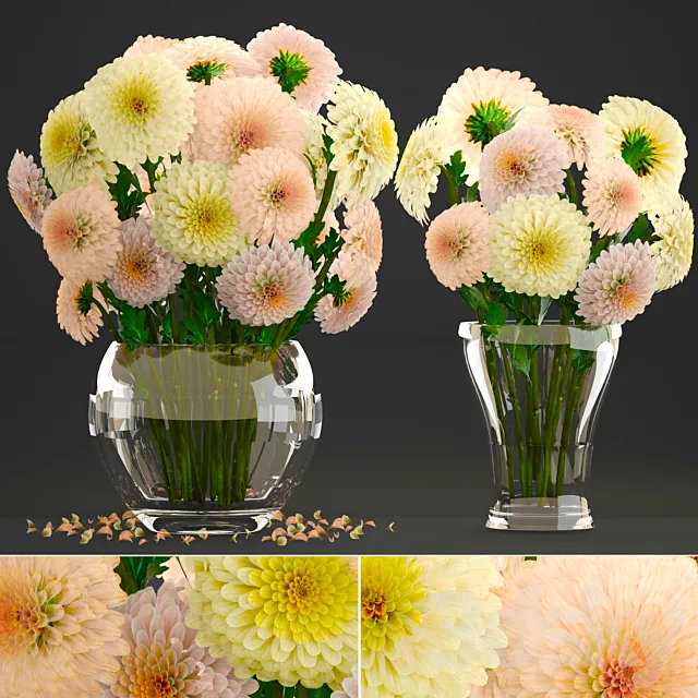 Collection of flowers 9. Dahlias spring flowers vase decor white 3ds Max