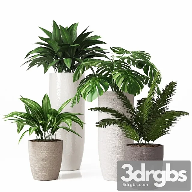 Collection of Indoor Plants 01 2 3dsmax Download