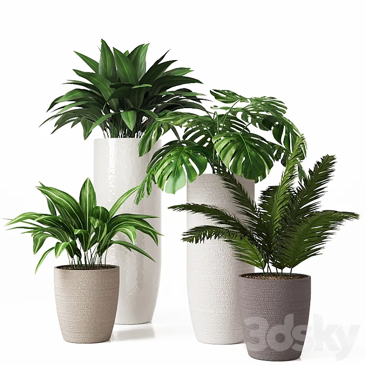 Collection of indoor plants 01 3DS Max