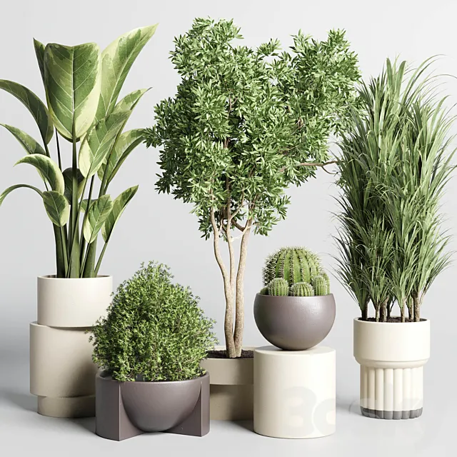 Collection of indoor plants with modern minimal pots 170 3ds Max