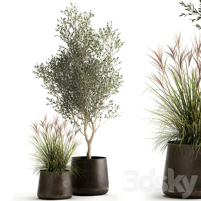 Collection of outdoor metal potted plants with olive tree bushes vine. Set 974. 3ds Max