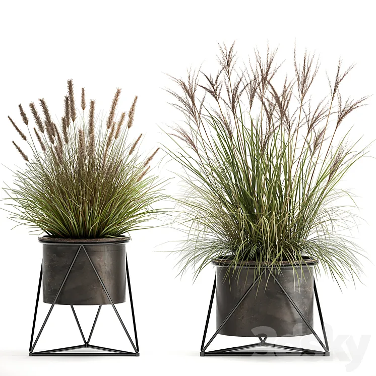 Collection of outdoor metal potted plants with Reeds grass bushes weinik. Set 980. 3DS Max
