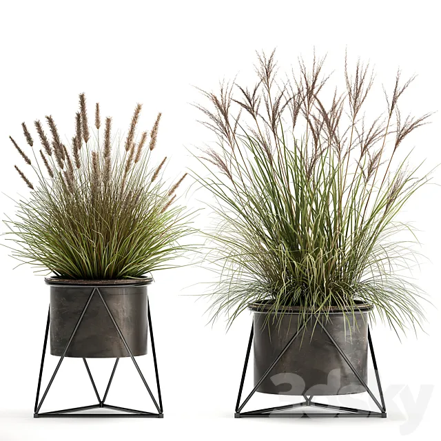 Collection of outdoor metal potted plants with Reeds. grass. bushes. weinik. Set 980. 3DSMax File