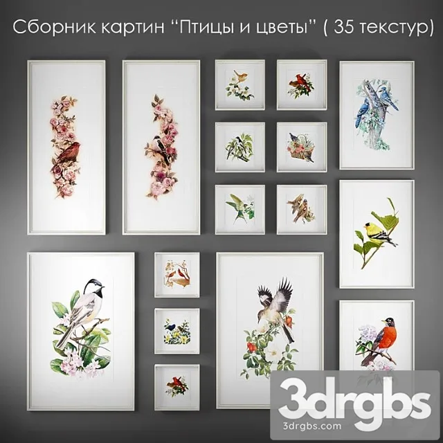 Collection of Paintings Birds and Flowers 3dsmax Download