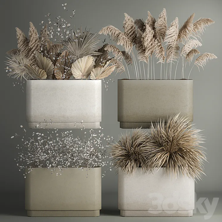Collection of plant bouquets of dried flowers moonflower dry palm branches dry grass natural decor .1121. 3DS Max Model