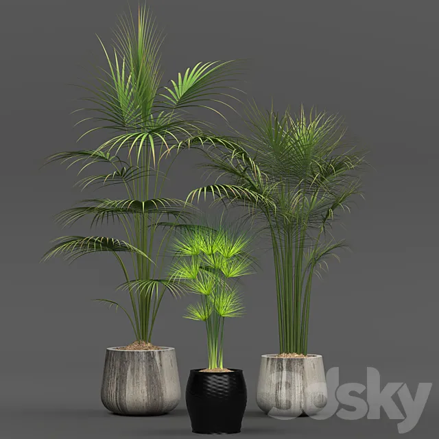 Collection of plants 01 3DS Max Model