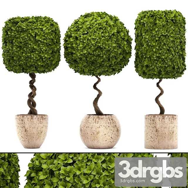 Collection of Plants 130 Garden Trees Landscape Design Flowerpot Pot Boxwood Topiary Topiary 3dsmax Download