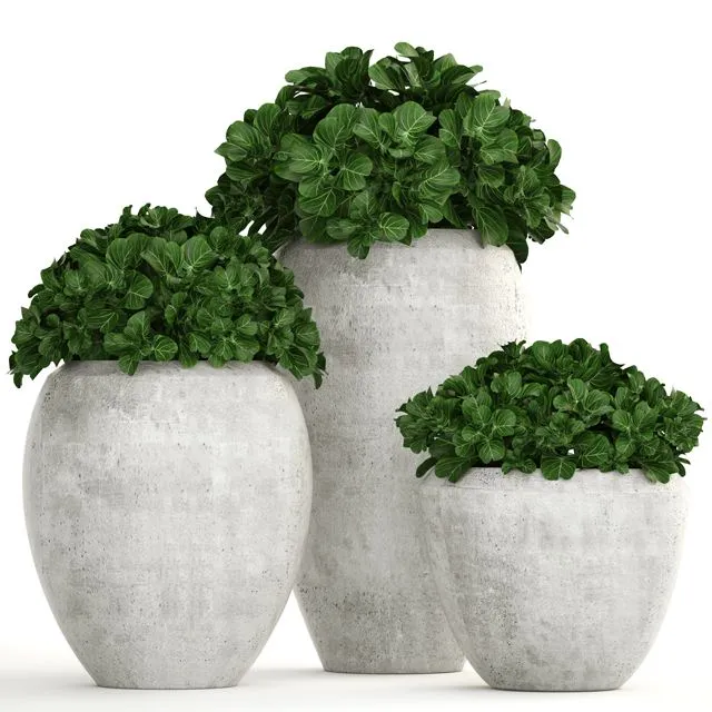 Collection of plants 146 3dsMax Model