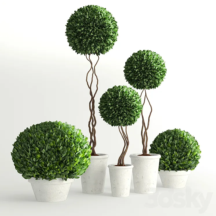 Collection of Plants 2 3DS Max
