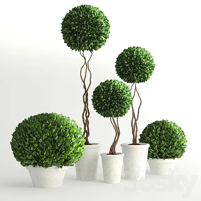 Collection of Plants 2 3DSMax File