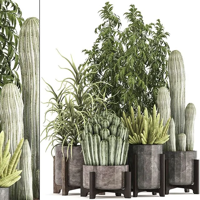 Collection of plants 325 3dsMax Model